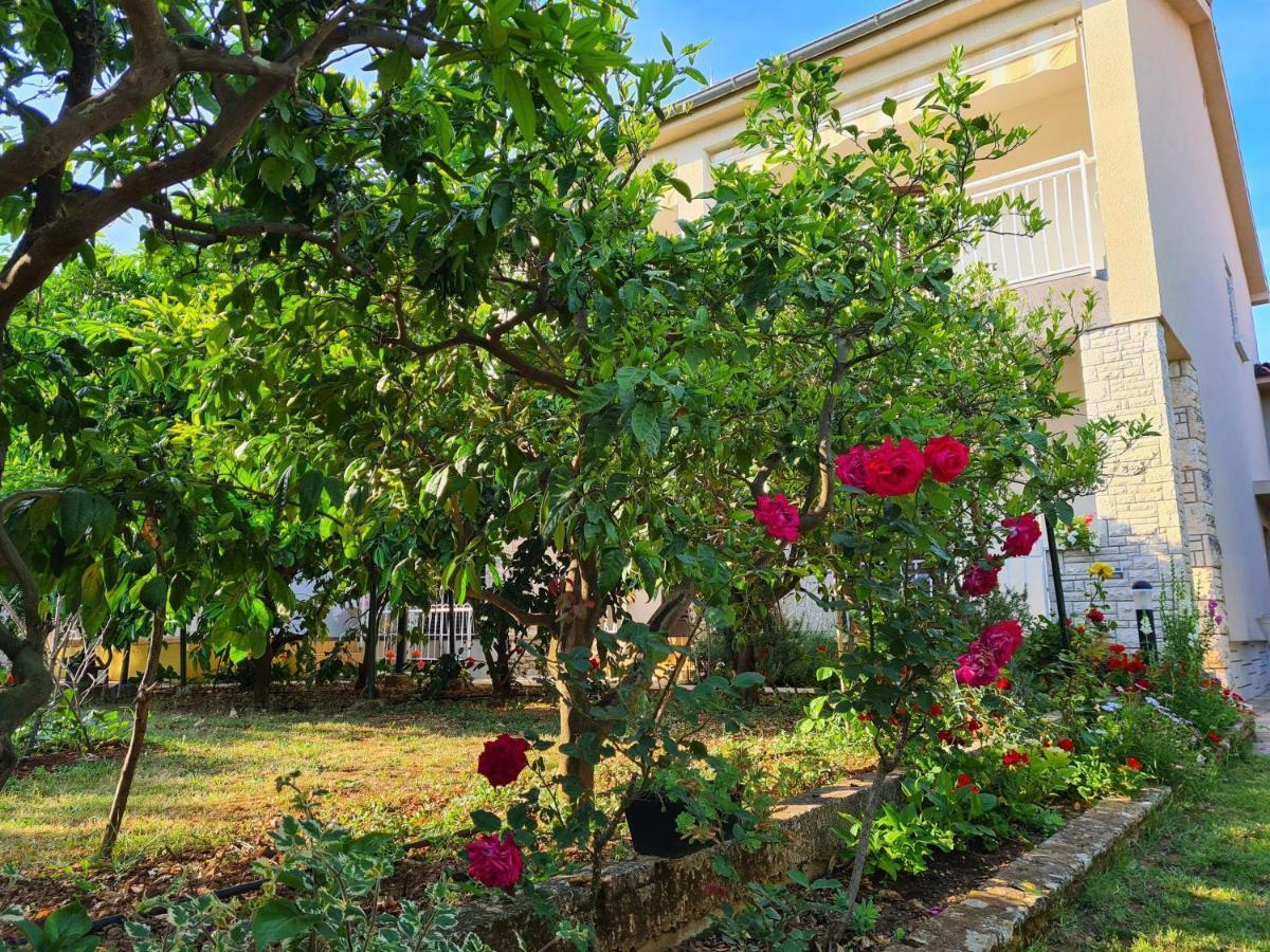 Apartments Ana Medulin Ngoại thất bức ảnh